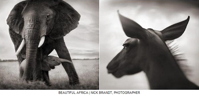 Beautiful Africa - (photos) - Dugutigui