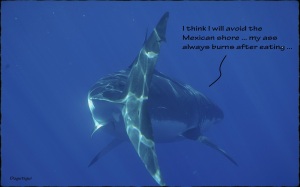 14.Shark_Humor.Mexican