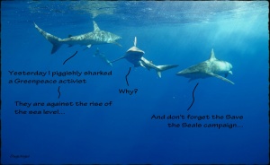 27.Shark_Humor.Greenpeace